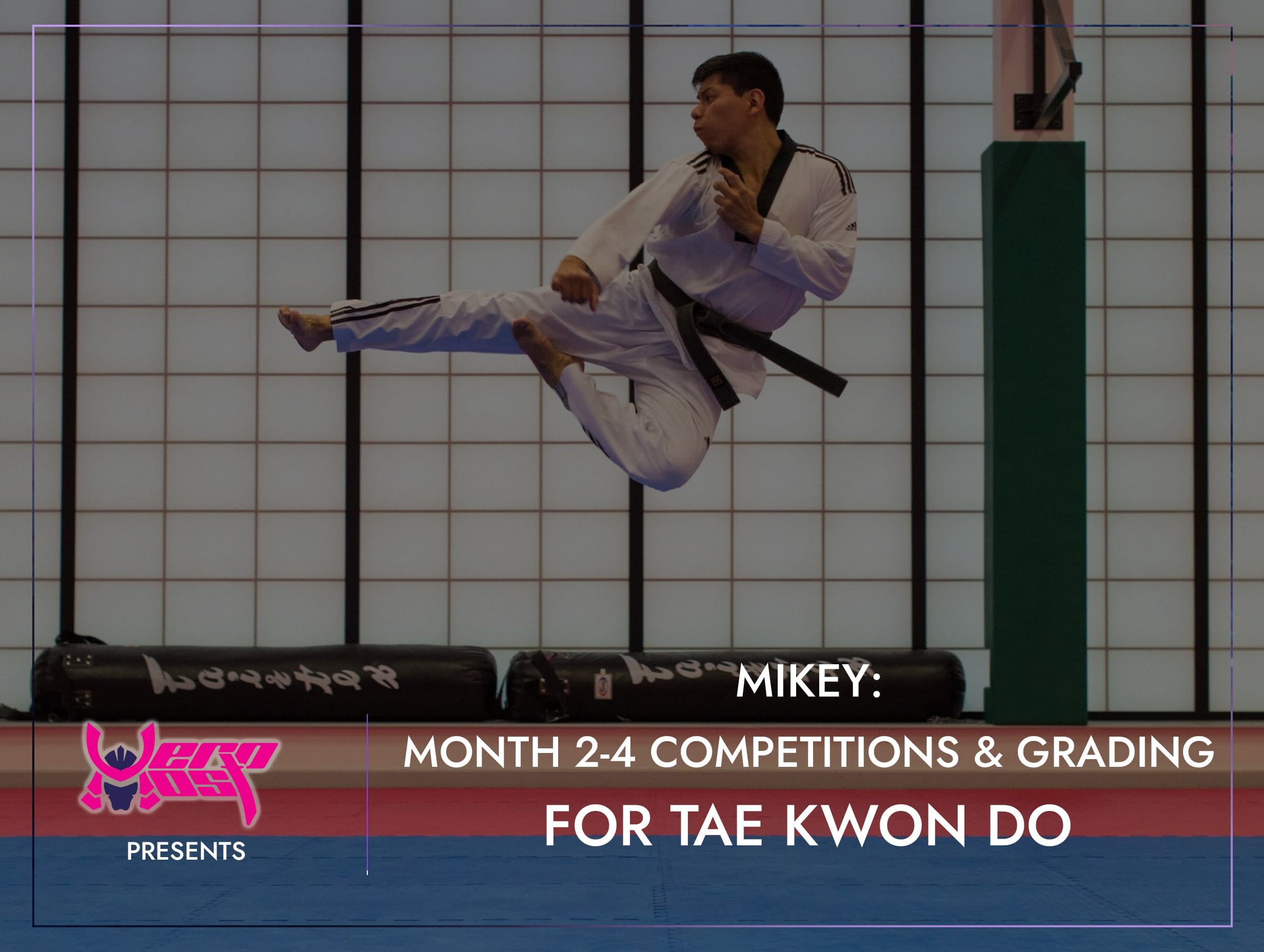 Tae Kwon Do 2-4 Month