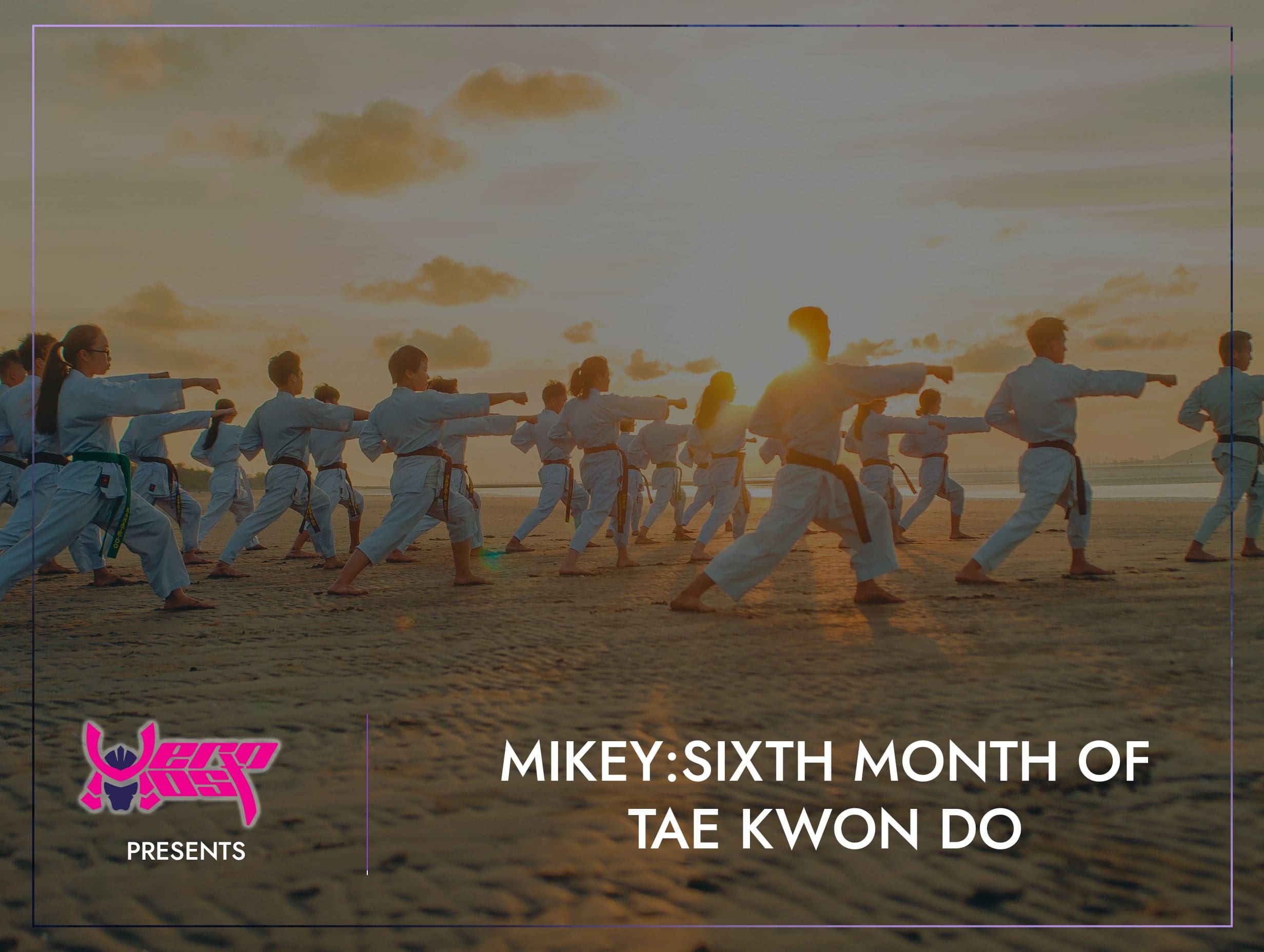 Sixth Month Of Tae Kwon Do